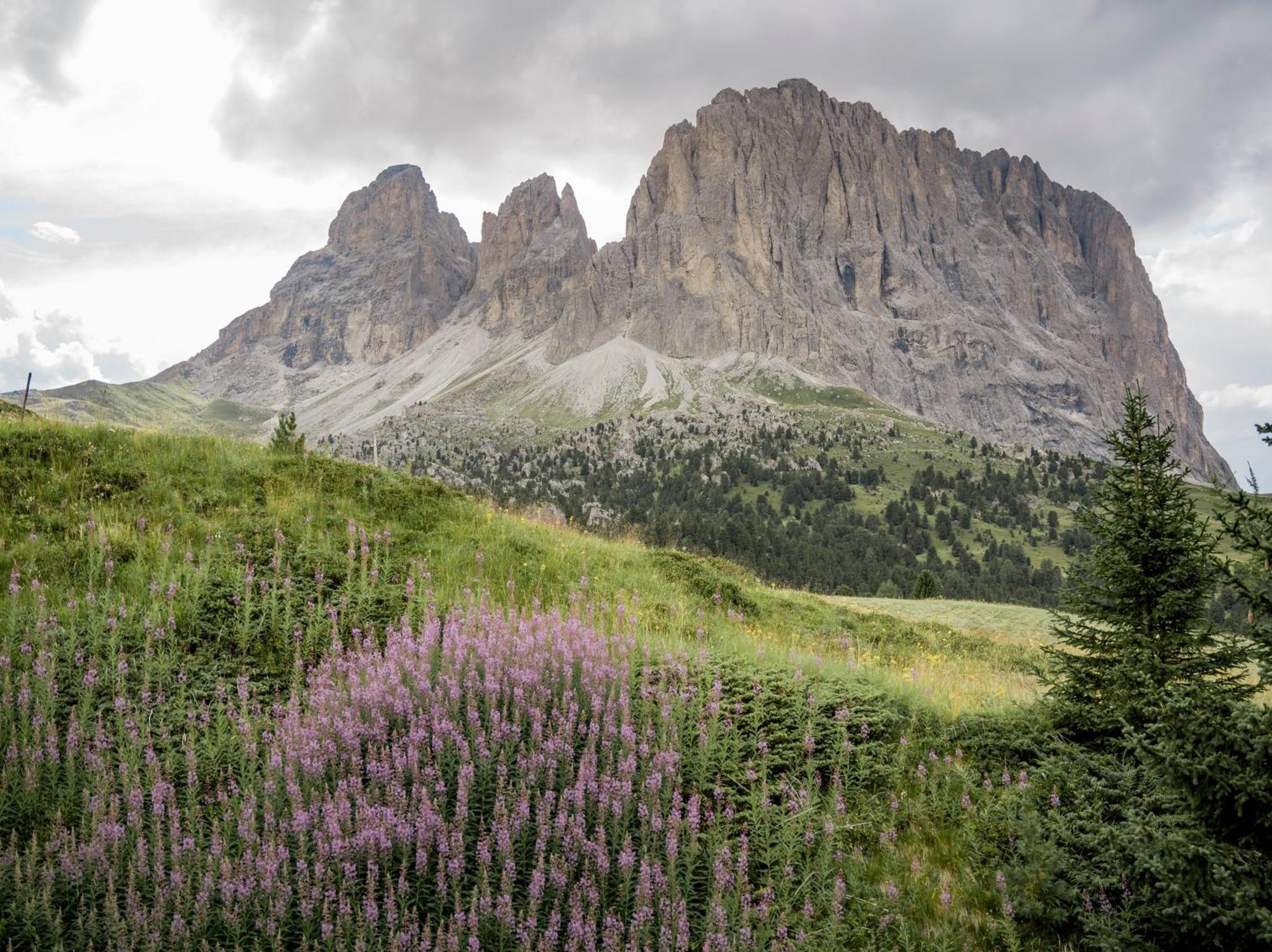 Charme Hotel Uridl Santa Cristina Val Gardena Ngoại thất bức ảnh